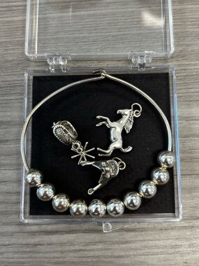 Silver Tone Charm Bangle Bracelet with Horse and Western Charms